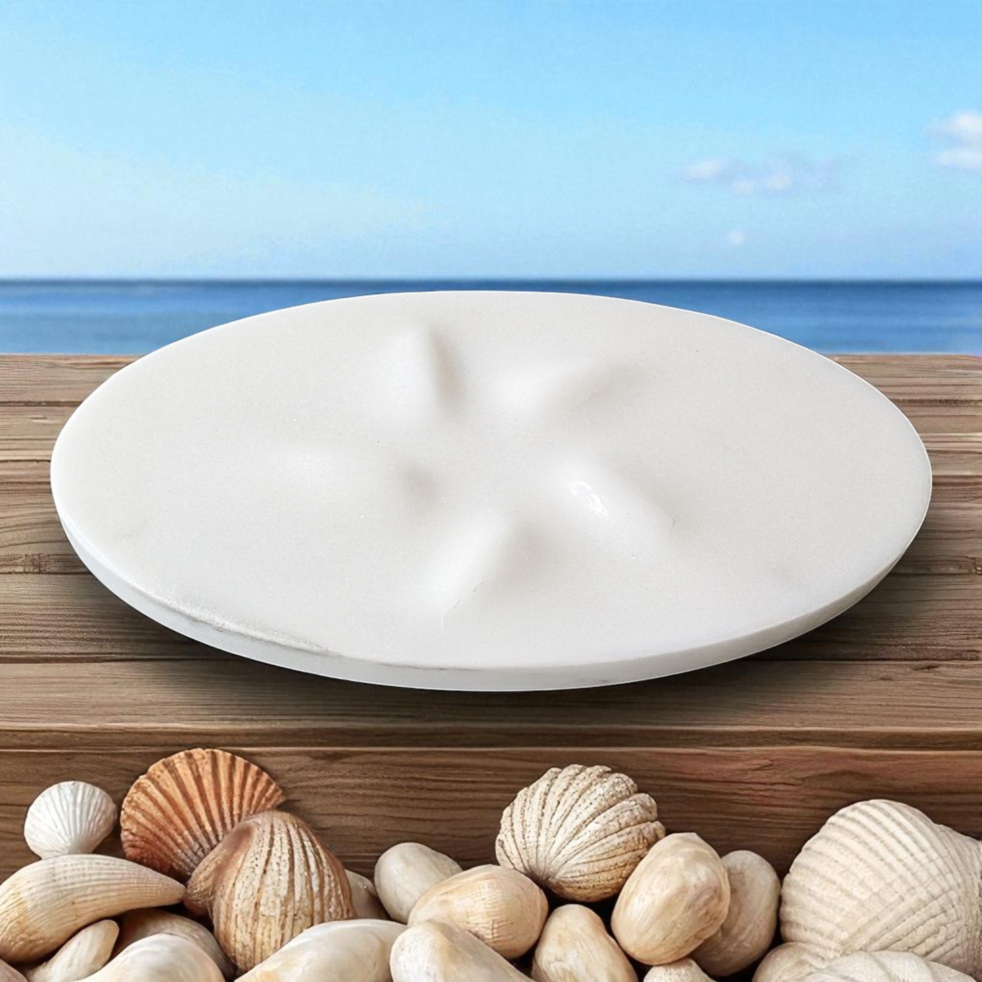 On a wooden surface with seashells and a blue sky background
